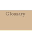 Glossary