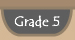 grade 5