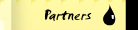 partners
